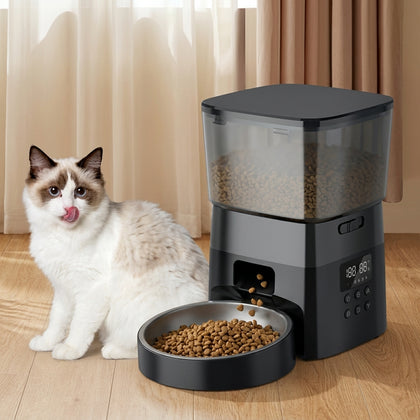 Automatic Feeding