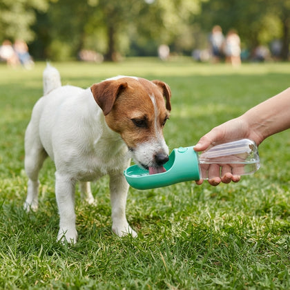 Hydration