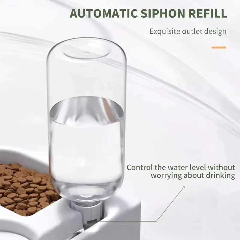 Dual Food & Water Bowl