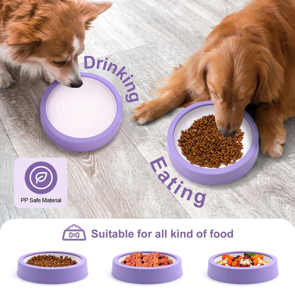 Maze Slow Feeder Bowl