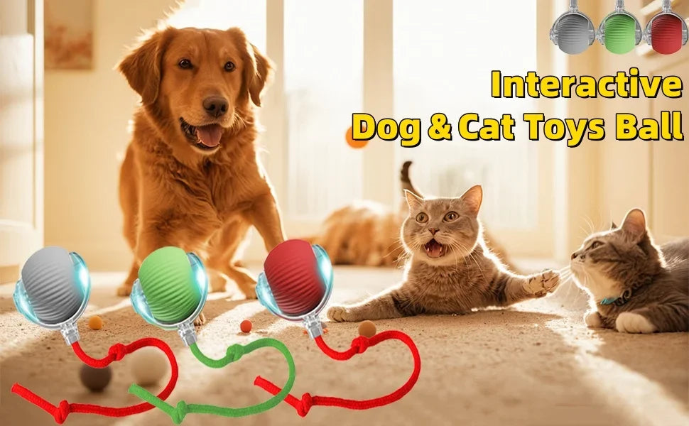Smart Interactive Cat Toy – Automatic Moving Teaser Ball with Faux Tail, Rechargeable & Motion Sensor