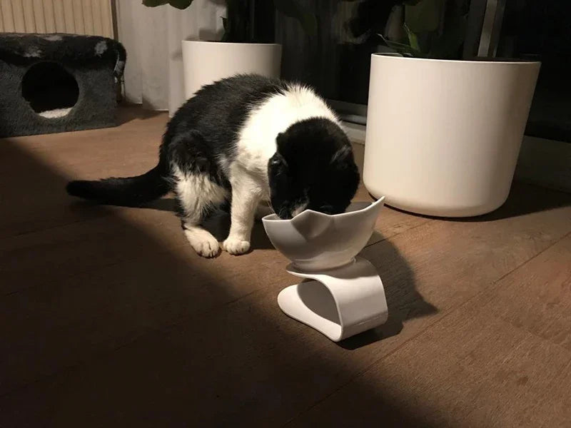 Elevated Double Pet Bowls with Stand – Non-Slip Food & Water Feeder for Dogs & Cats